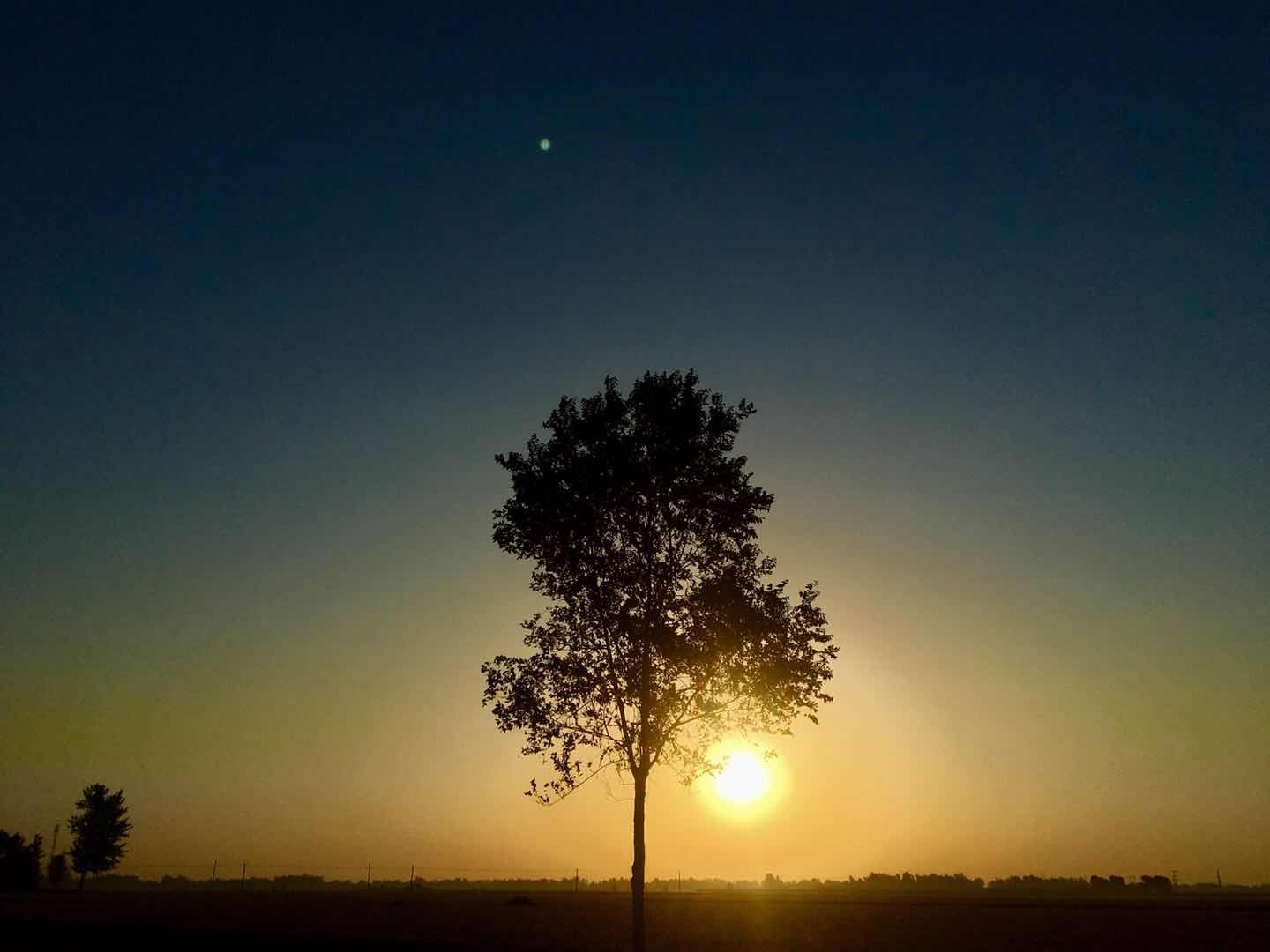 12E5AFF7-605C-4DC1-B02F-32F1050945BB.jpeg