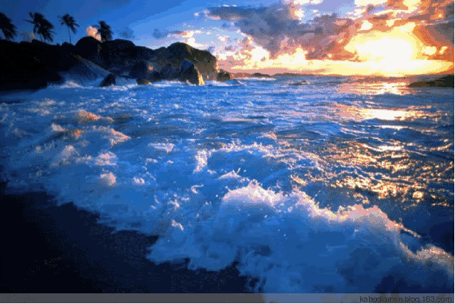 C20F2CFE-DB39-4210-B357-780B9AC80735.gif