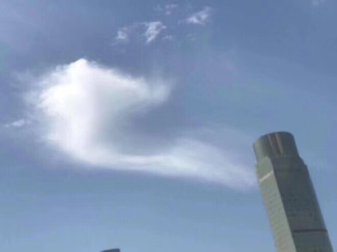 A8EEE3D9-EAD1-4F82-B99D-E4FCFDD35DC8.jpeg