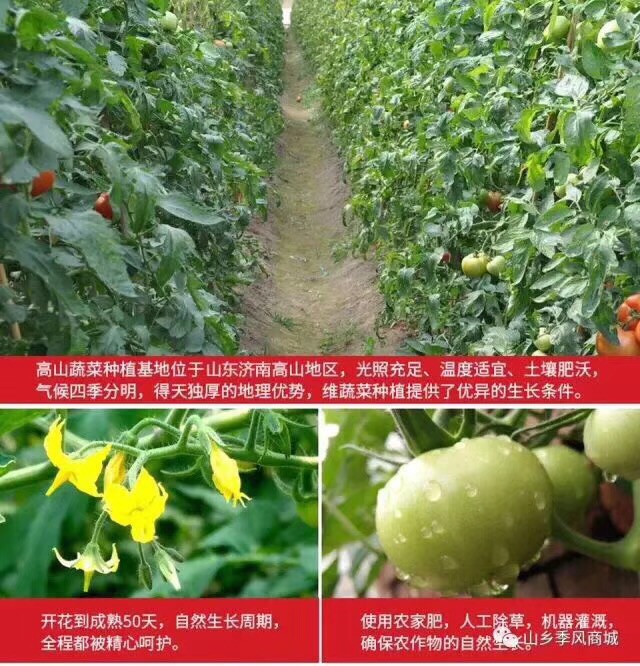 319B5AEF-ACBC-4D2F-A112-FB5A3012F735.jpeg