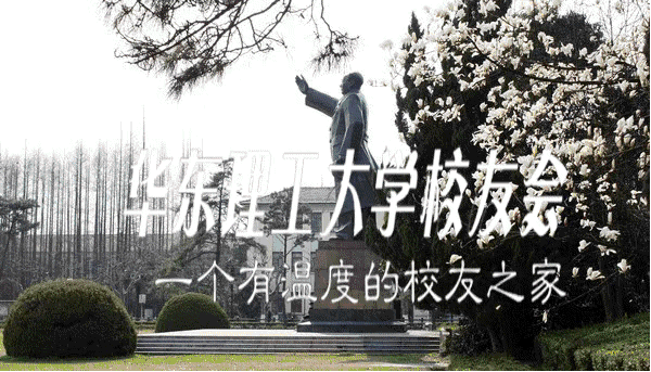 206E8DC2-6E59-4926-9D51-8FF30AA14B78.gif