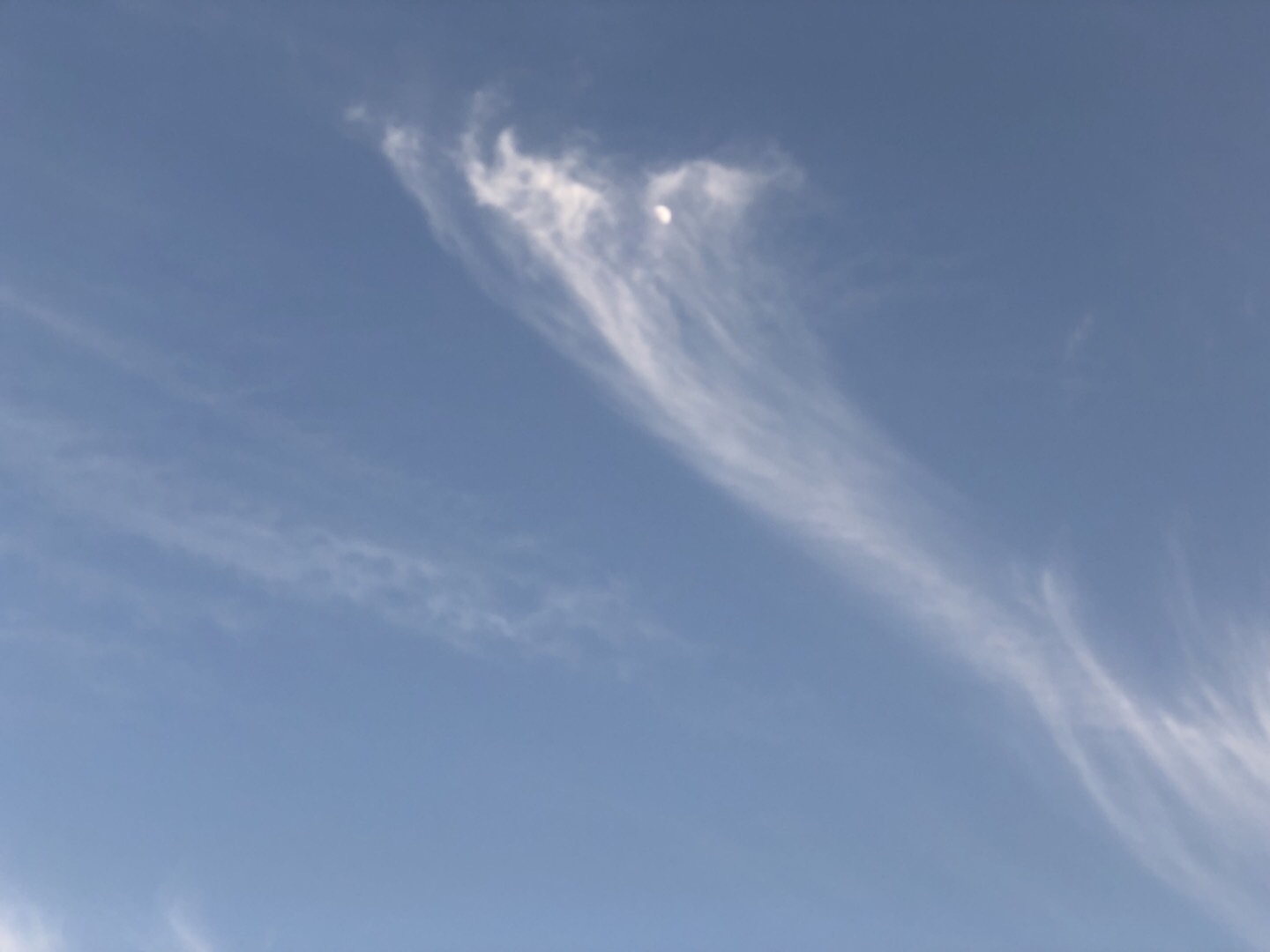 C185E1B6-F164-42E2-80BD-5EF7B5C93725.jpeg