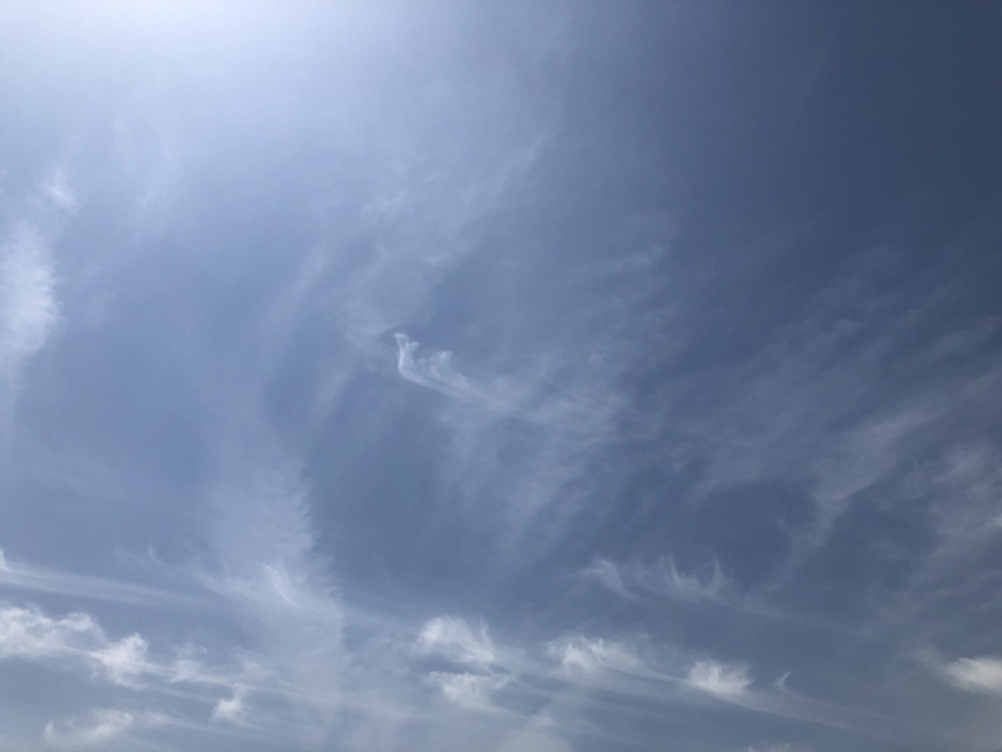 130B902E-B494-4FEC-8A4E-0CD17CA5E779.jpeg