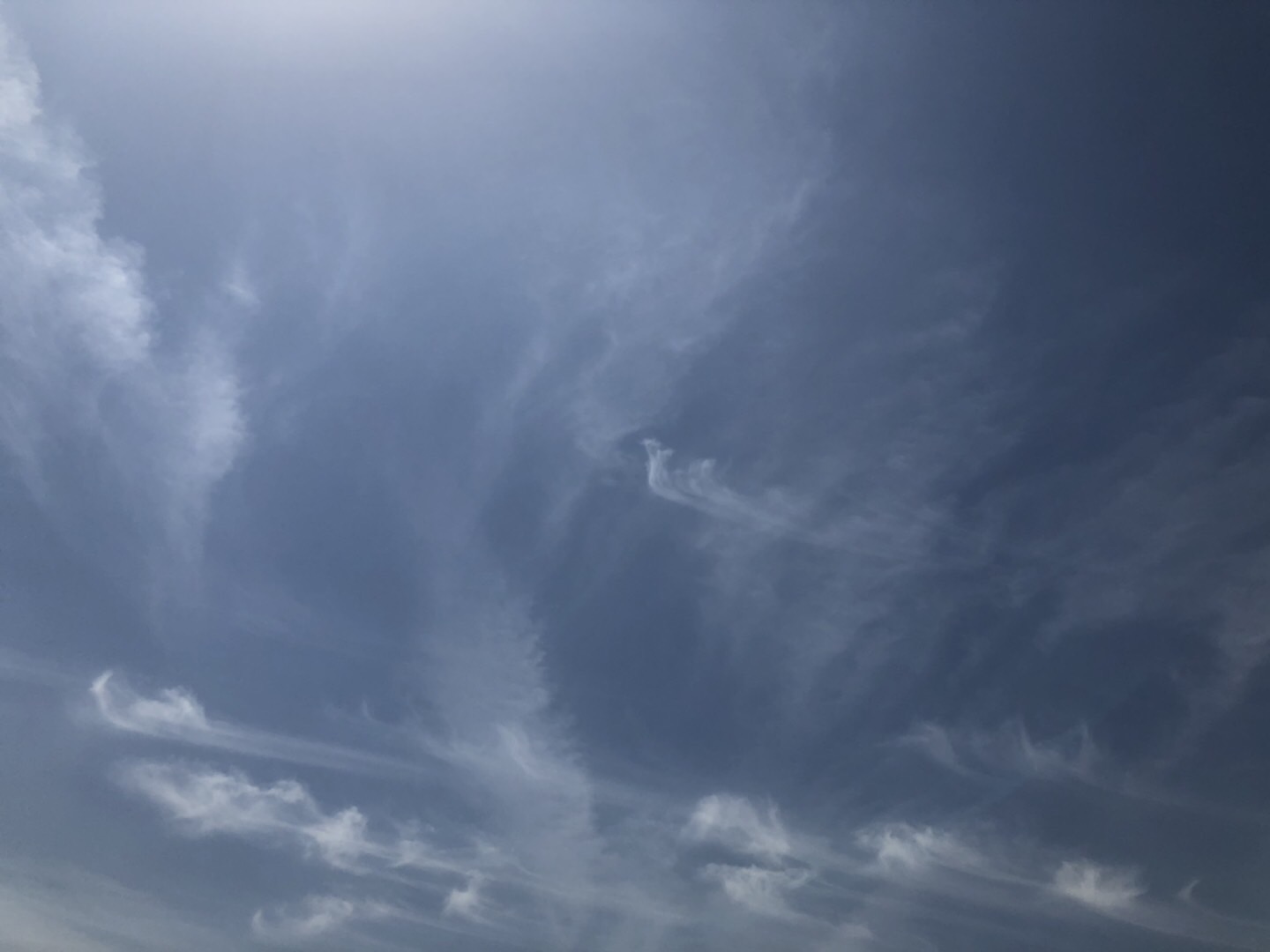 053A8C42-A570-4B4D-88D7-BDE3D7013918.jpeg