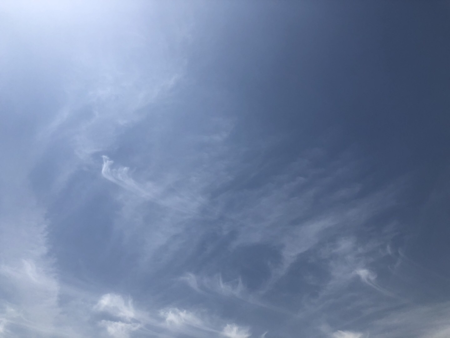 11160668-2156-4928-A0A3-89B5FAC9665A.jpeg