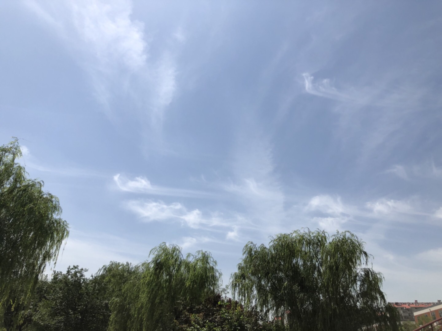 0E5373FA-28A2-4FEB-8B34-8EC23BAF7012.jpeg