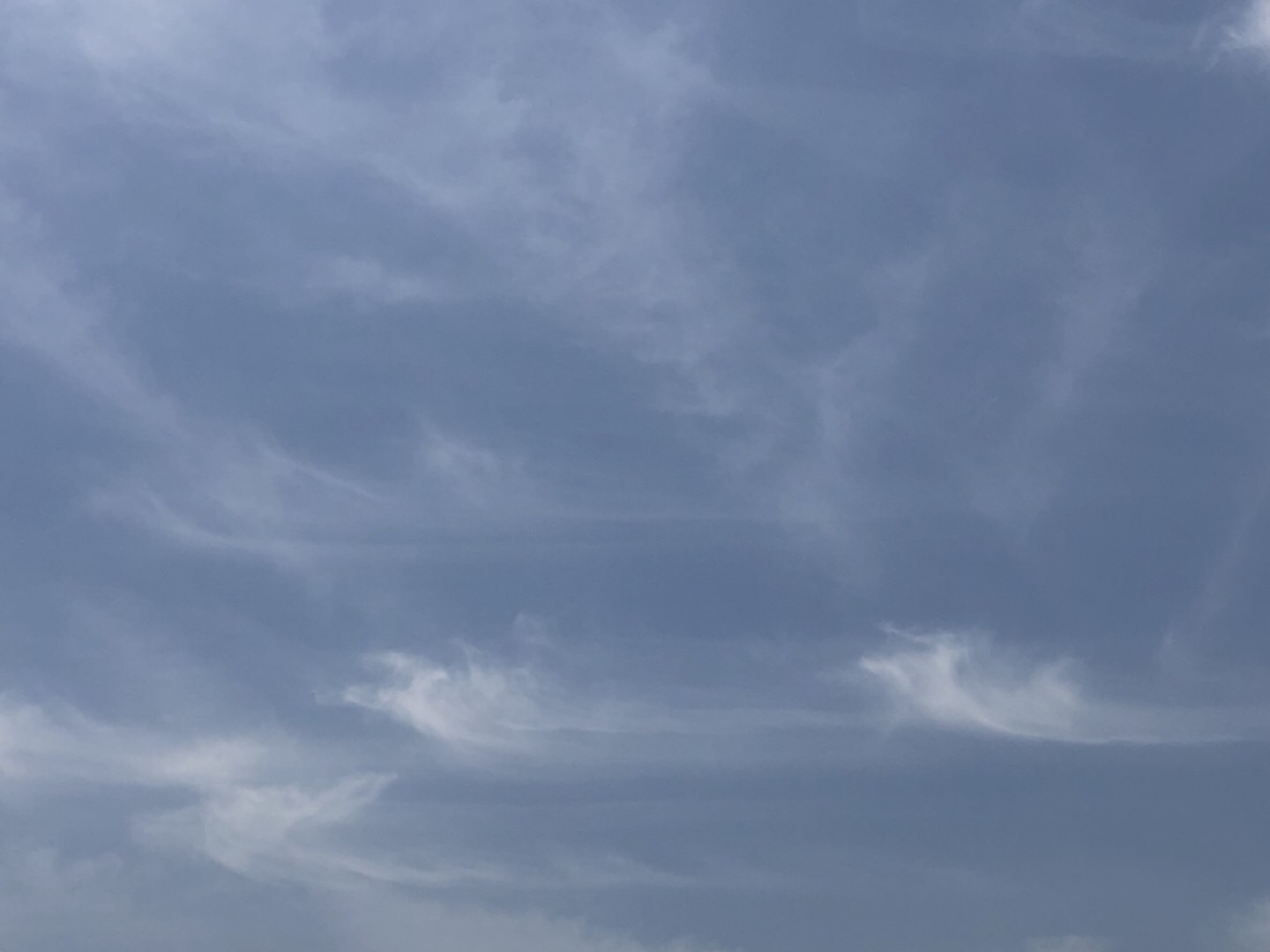 38FF7599-8D9B-405D-9D08-762CEA0DEEDA.jpeg