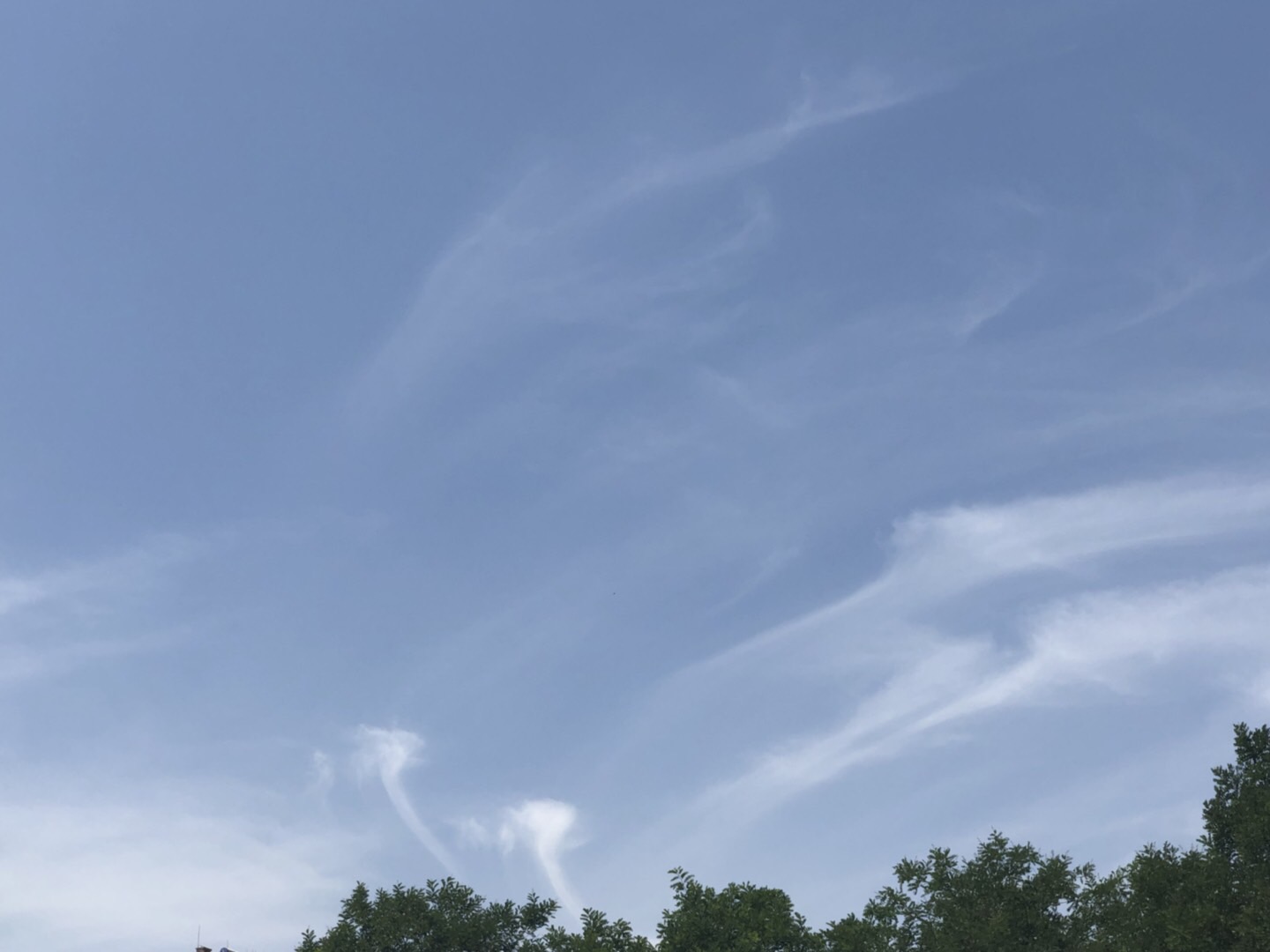 910CE791-67C1-4E53-B32C-F6E70D5A4A79.jpeg
