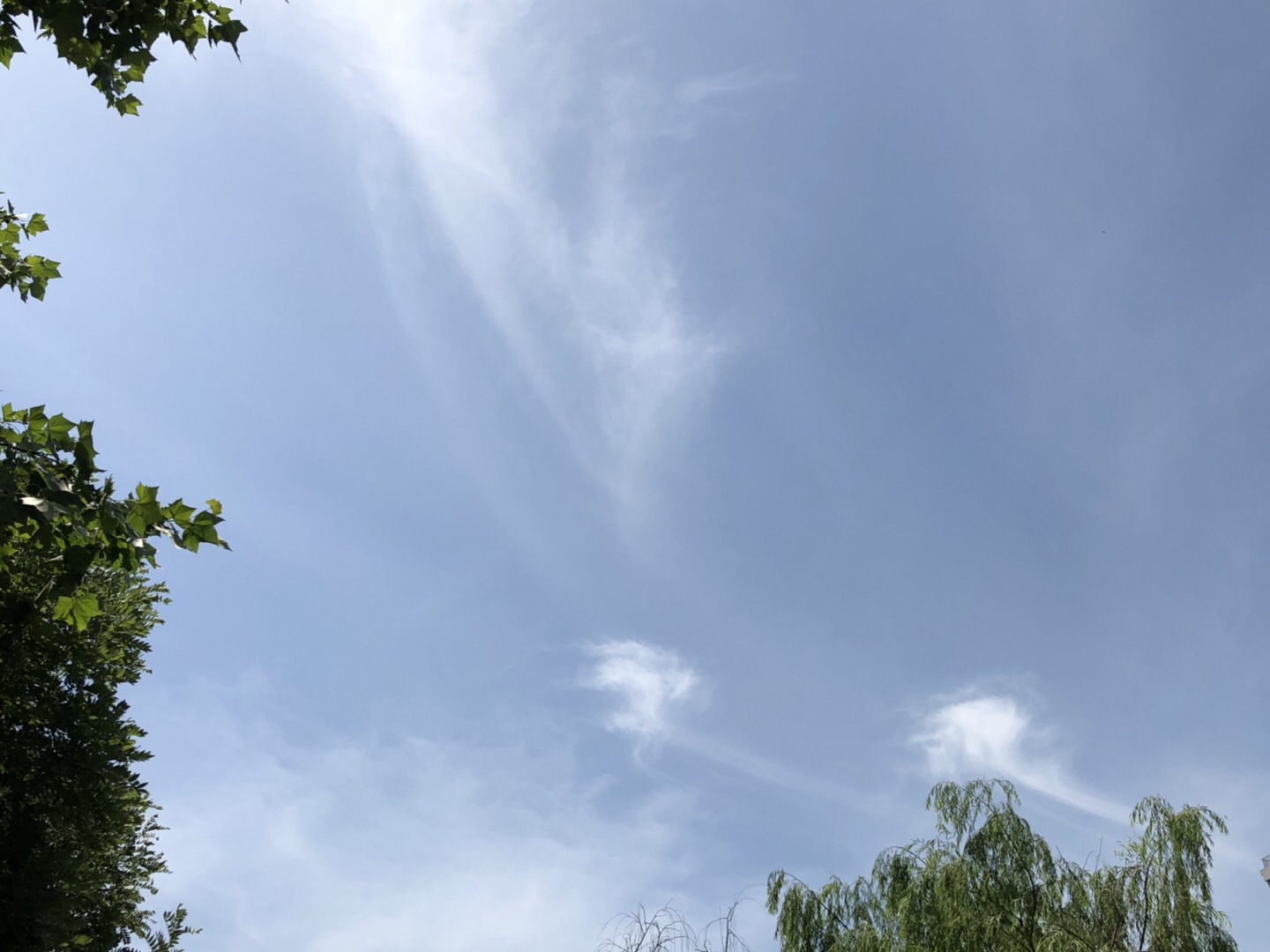83E91610-EB46-4CCF-A92F-8460C7D36AF4.jpeg