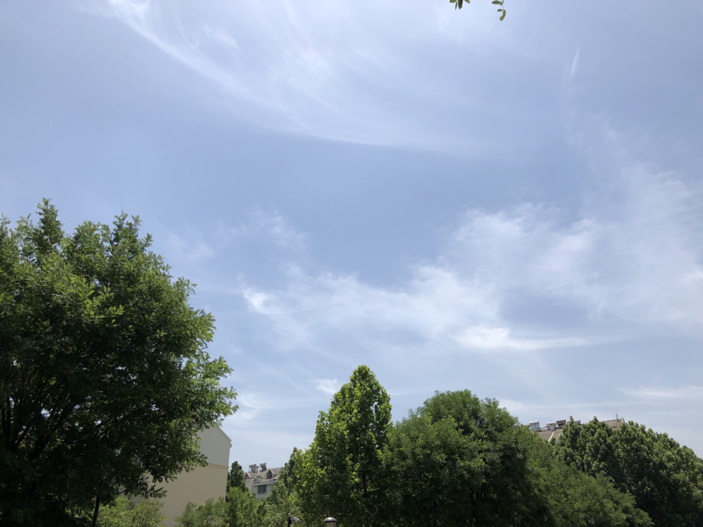 477B3490-ECD1-44D0-BD67-2AB151AD0341.jpeg