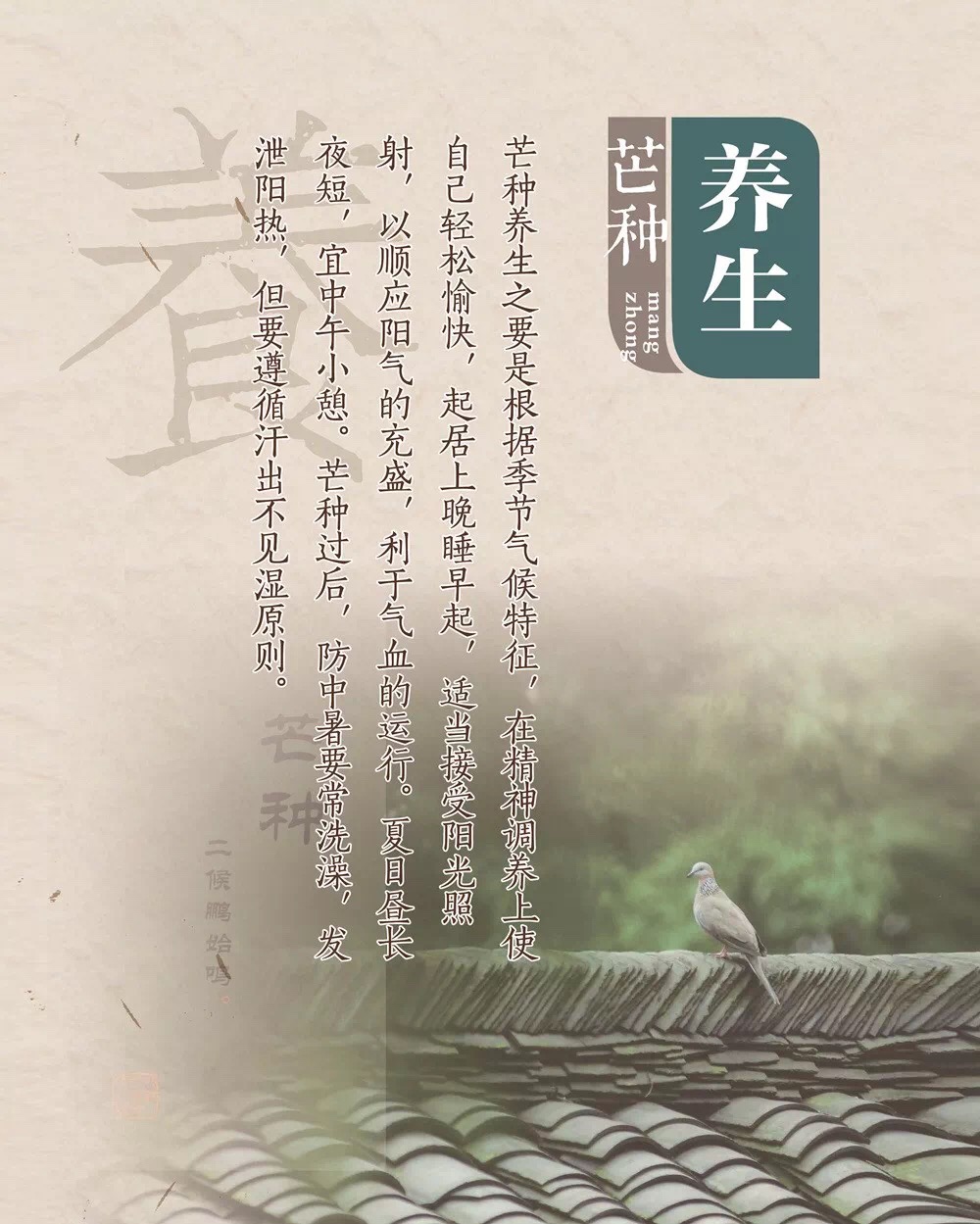 4C2ADDC9-2893-4EDF-A6FA-20D3C2CDFB7A.jpeg