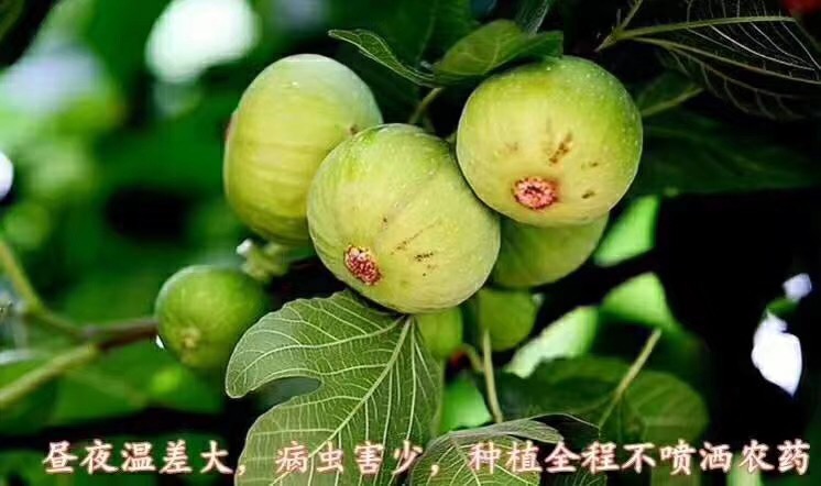 A7E151E8-E0DE-430D-84D9-D19D80985F9E.jpeg