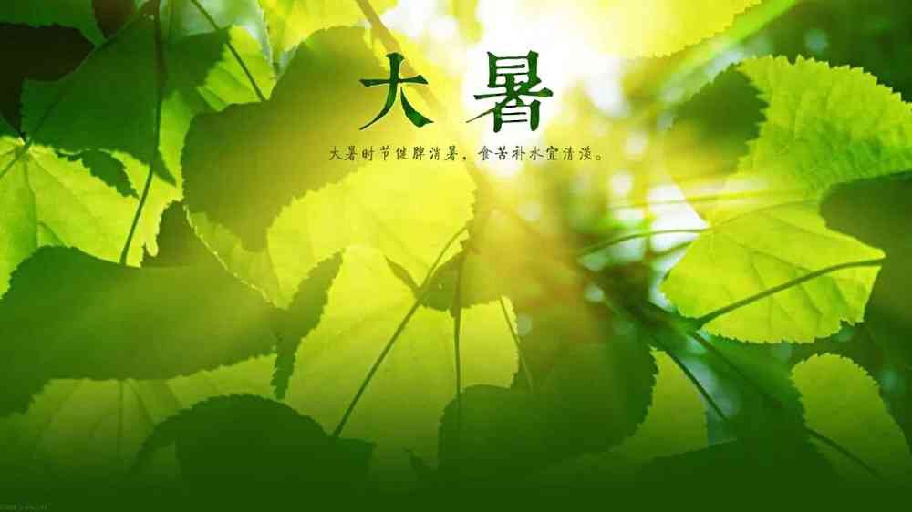 1AC80AB6-999C-4FDD-A536-0A52A8A00D10.jpeg