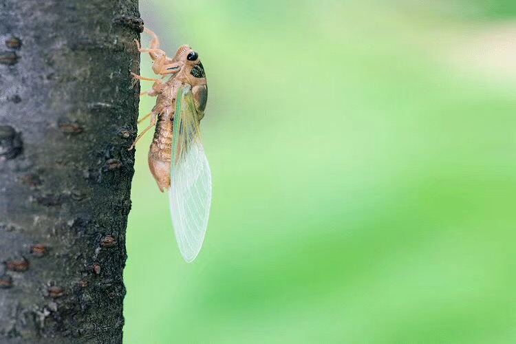 B1D66D2B-F882-44E7-BF9D-CD13BEE172F5.jpeg
