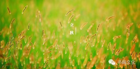 CF69F748-7B36-44A2-BB7B-93F137044393.jpeg