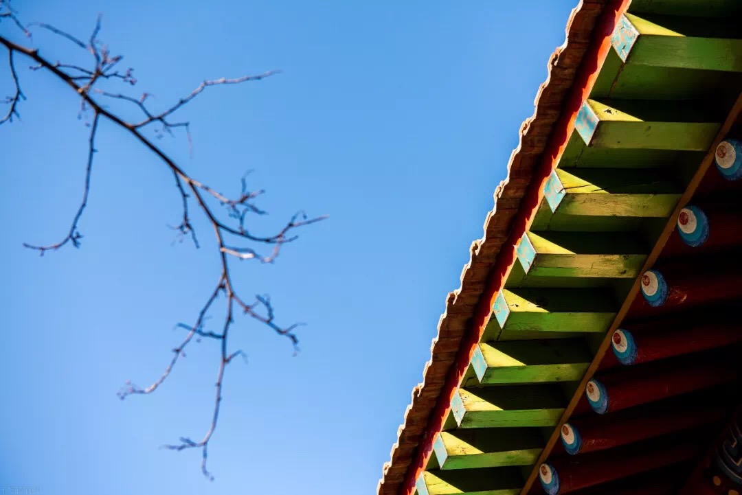 862DDED3-6217-4E3B-AEA7-566872006DD4.jpeg