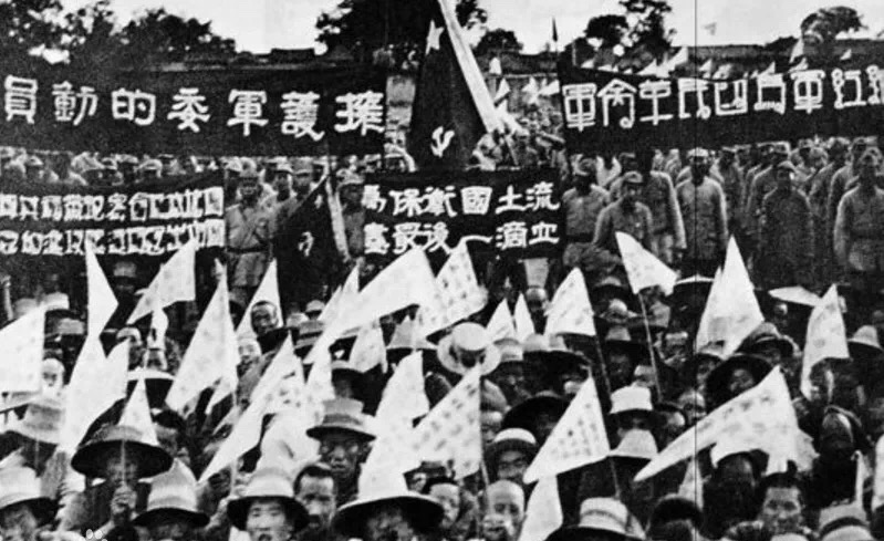 69ACBDA1-641C-42D8-B70E-581F5510529F.jpeg