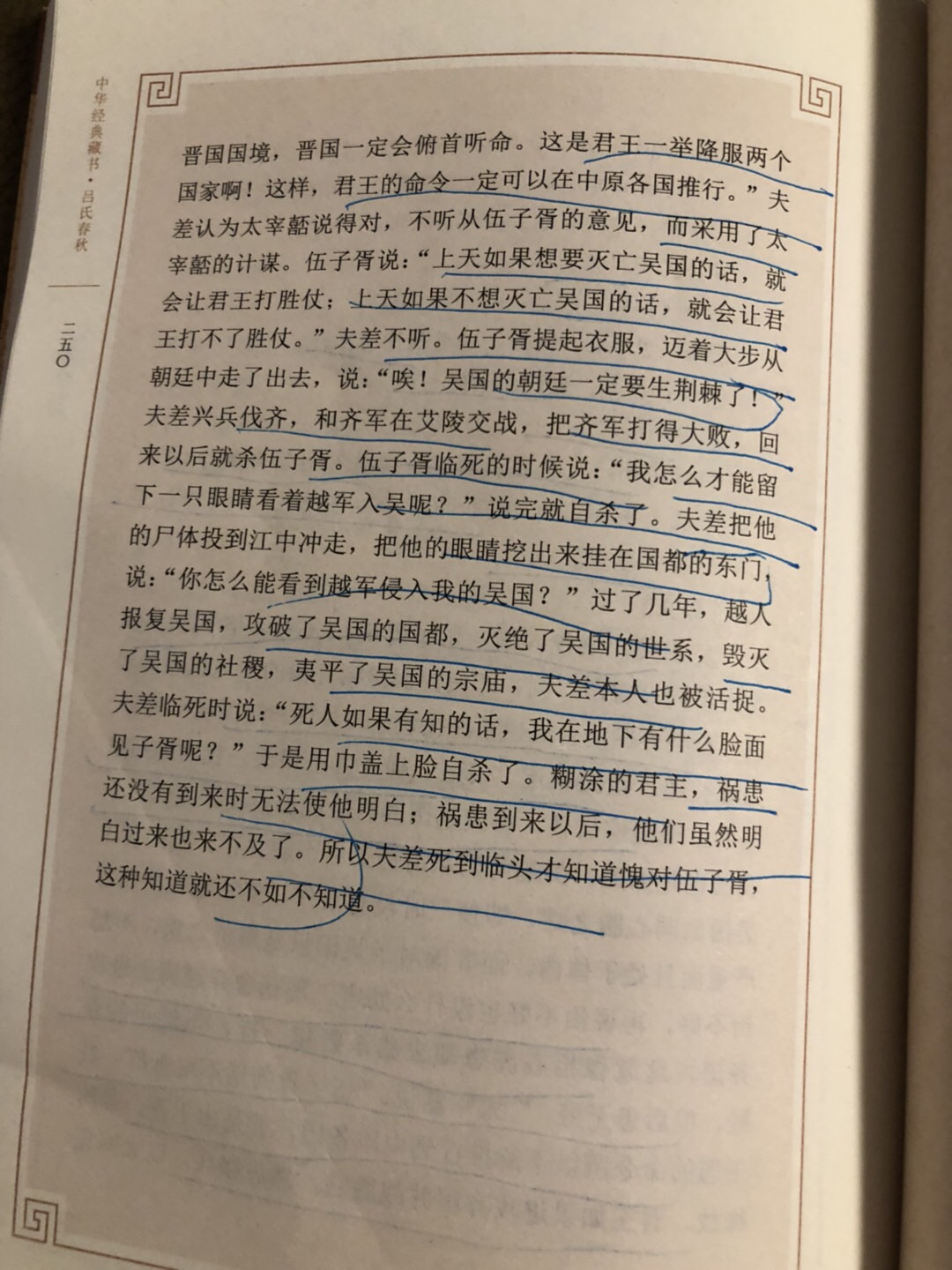 BF6A1652-26EE-459C-AE1F-9F269B4D9456.jpeg