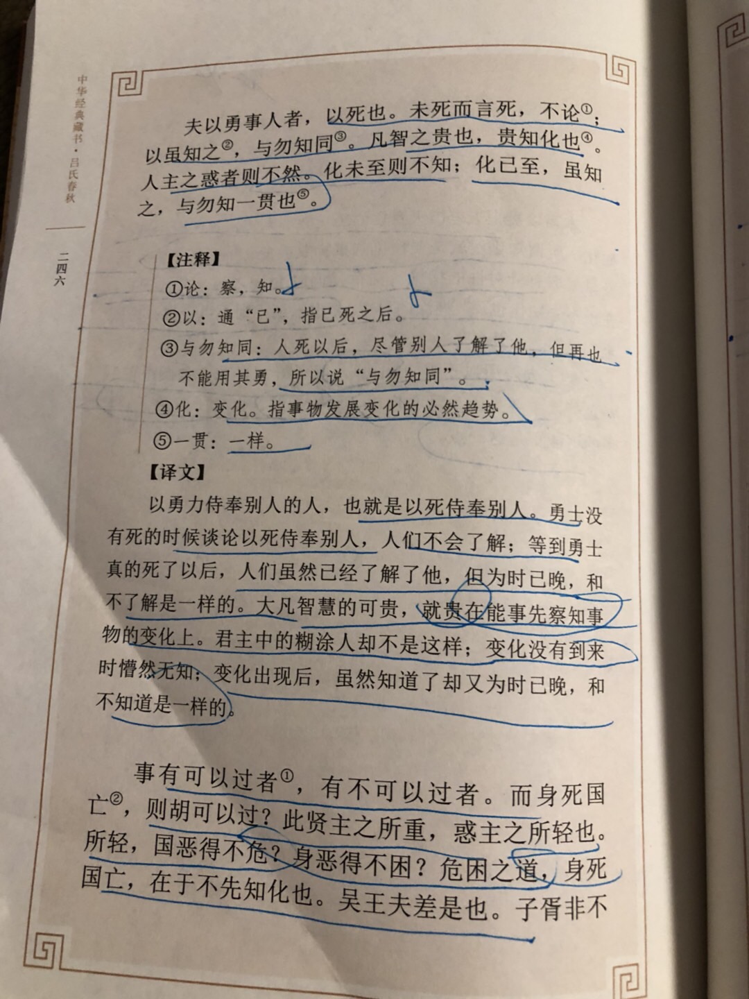 0716EA0B-4F42-42F3-B959-F2222042B71B.jpeg