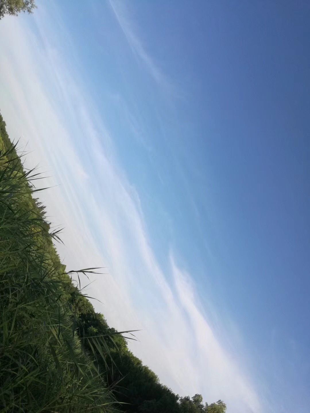 937B2FCC-B174-4C72-87EB-E942E0742A37.jpeg