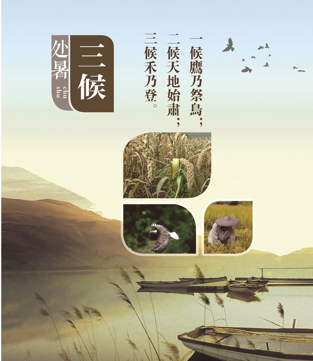 6A00404D-6BAB-42A6-AAE6-5D872F353A31.jpeg