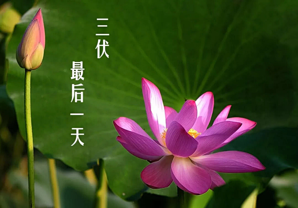 FEE46FDD-D517-4EA5-8E48-1A4FA4585ABD.png