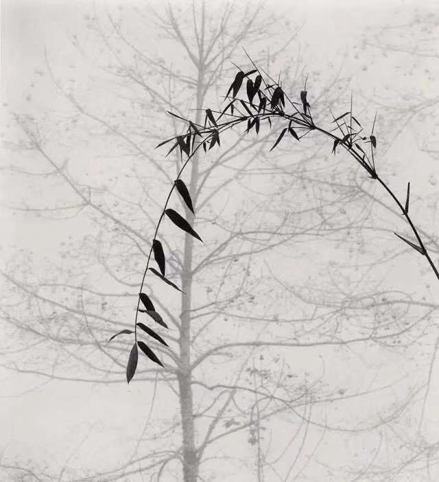 2F6E74C5-22E9-4351-B863-7F335DF71DB5.jpeg