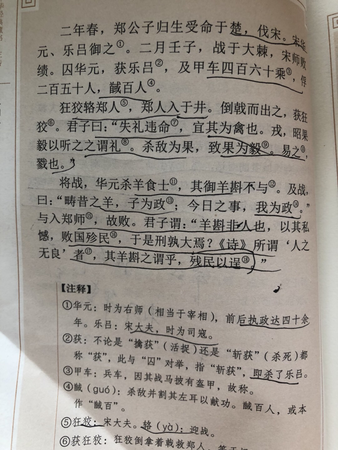 818870B2-A744-496D-85A0-0D3EDE74E21B.jpeg
