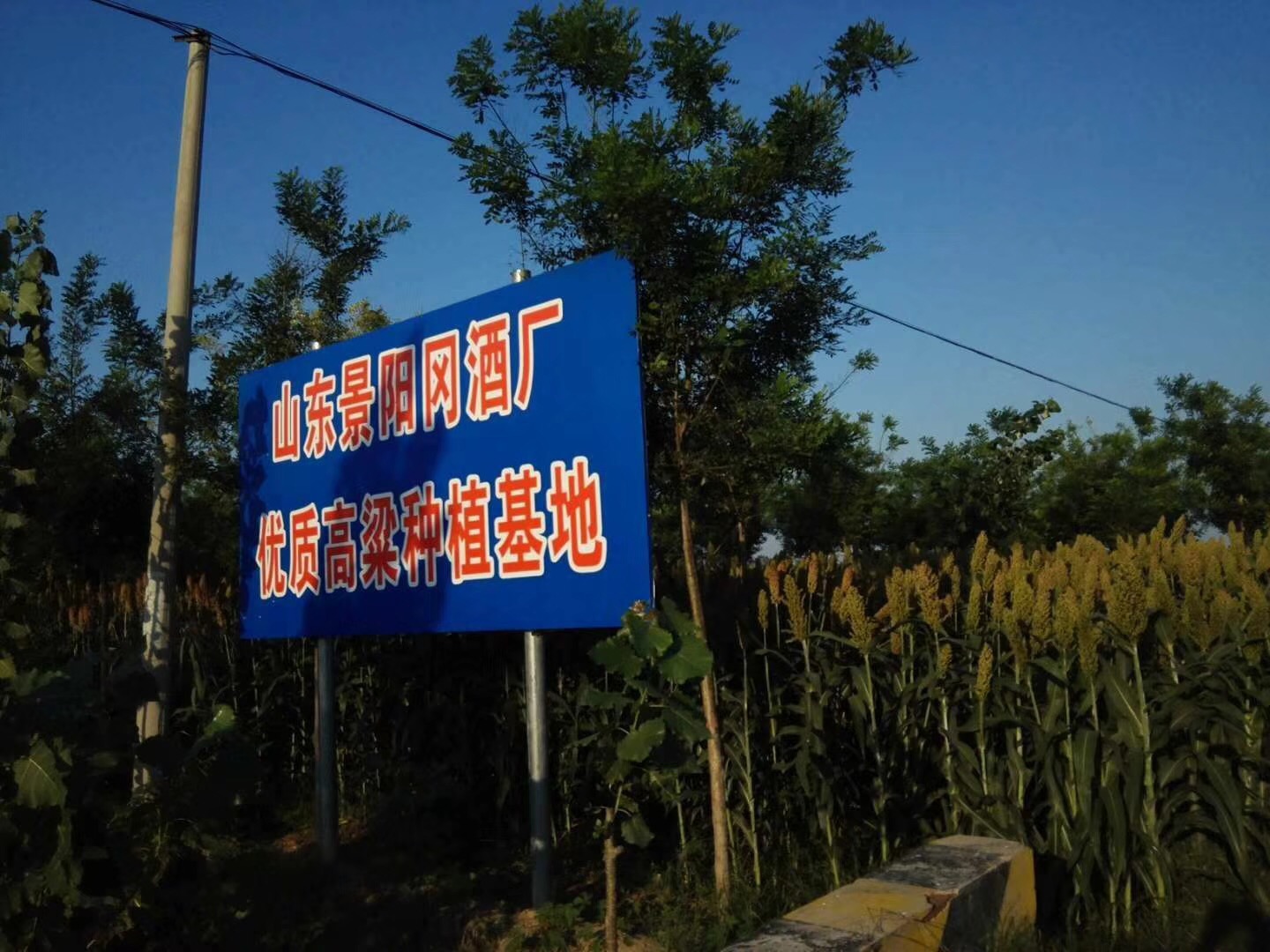 C555A5A9-0AA0-447D-96FB-AADEFEA34ADD.jpeg