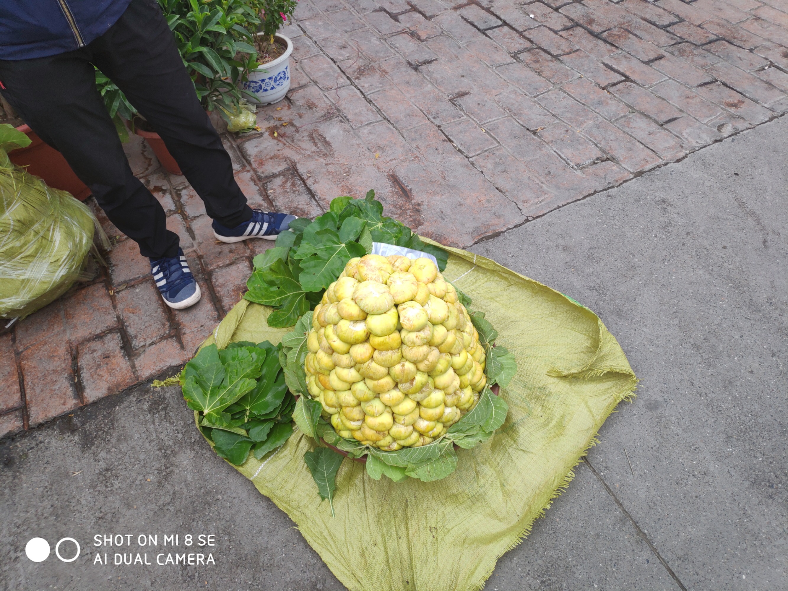 B425DFF8-23C1-4595-993C-B0A4ECD3D555.jpeg