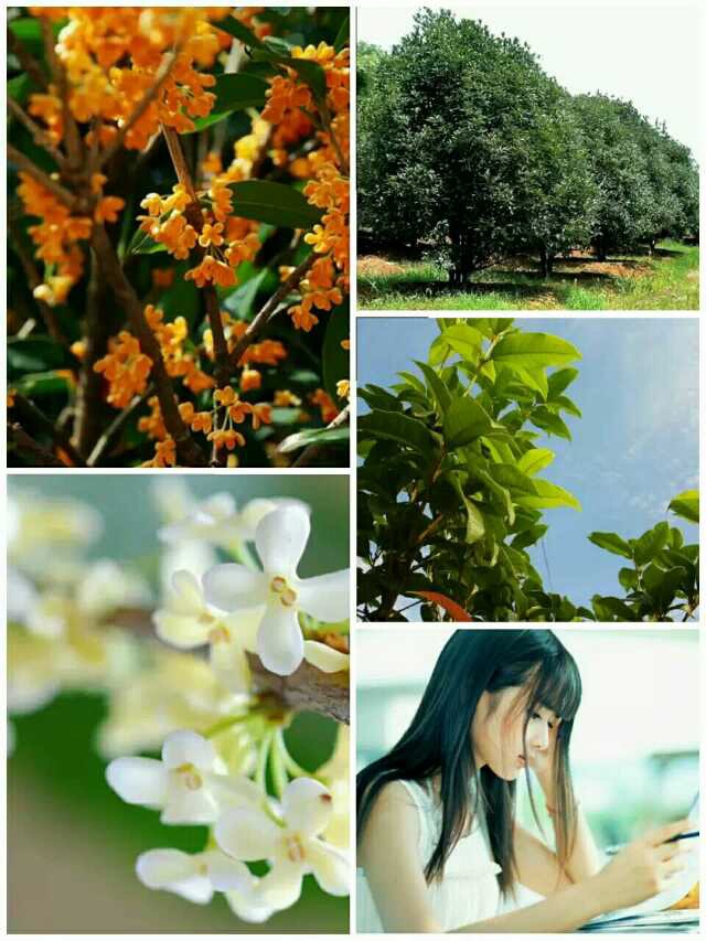 75BEDE78-4B3E-4D10-A457-5EB23B688ACC.jpeg