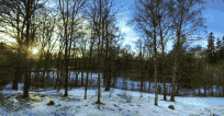 0A129279-D740-4C6F-95B7-D58C14DA815F.gif
