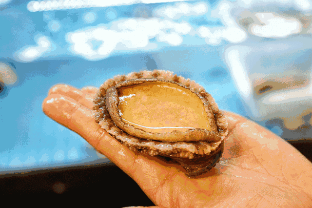 60BF62E0-6514-4CCA-B7D5-6682CB4BD47D.gif