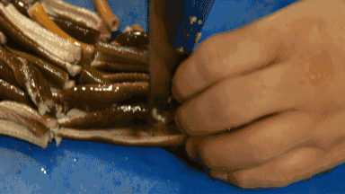 A7EC8A02-ACDB-4590-A7A8-13EC834A8ABE.gif