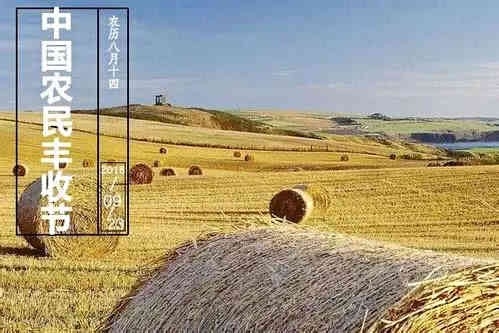 4E2259EA-5F54-4C5E-97D9-6A0FBE2F6DE7.jpeg