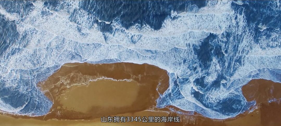 C19B7113-C2D3-4B7B-833E-8FF53903BF32.jpeg