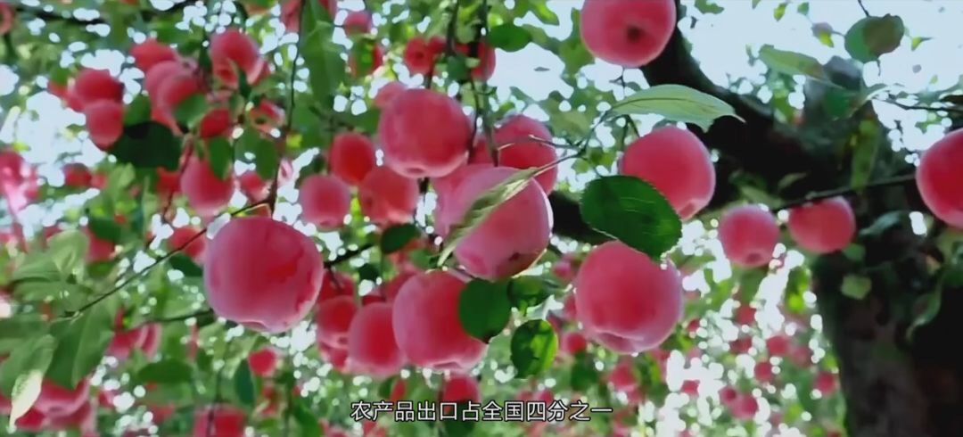 4464CD1A-9A70-46CB-93C9-5E6AA9BE2CB3.jpeg