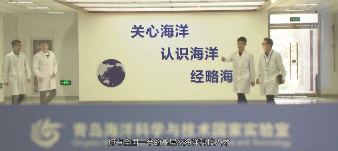4B3927DA-68E8-4B38-B60C-D5259FDA10A0.jpeg