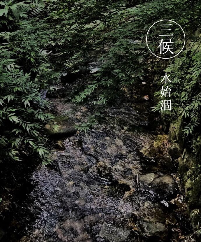 B14157DF-C043-4FD7-A7C5-964AD82EC38F.jpeg