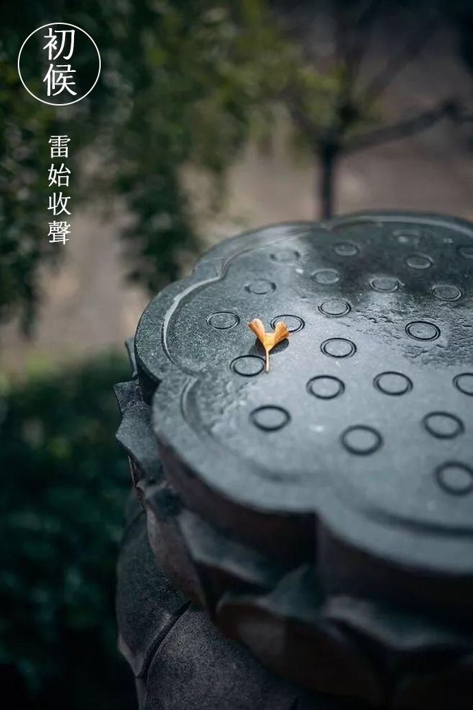 1846DCC4-5297-4E49-A510-D8CA2DF5F9A0.jpeg
