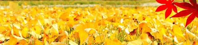 72806292-B9AE-4AFF-82E9-0A8723140DEB.gif