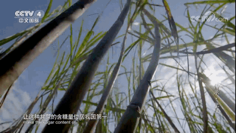 0FED0AD6-F416-463C-A785-011F8EC8E46D.gif