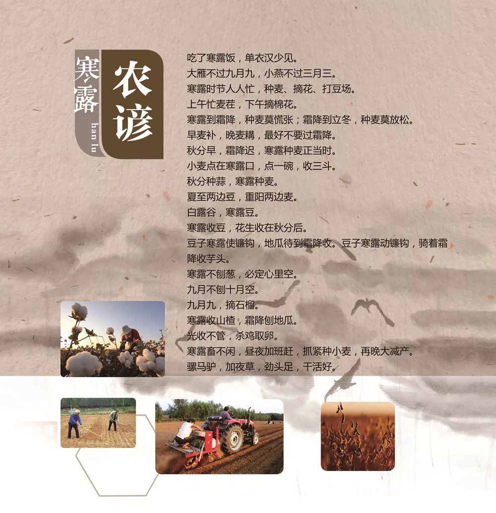 233AC965-E444-4B7C-9098-3F3D6916C2C8.jpeg