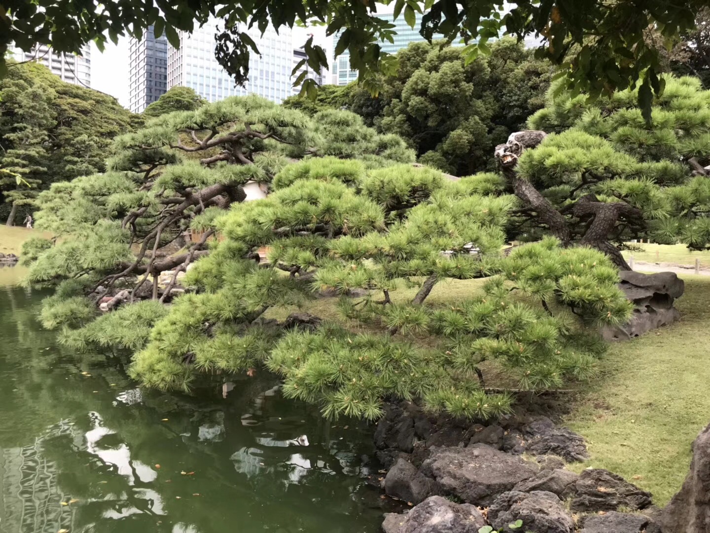 23BDF54B-195F-443F-BF8B-BD1D4729C046.jpeg