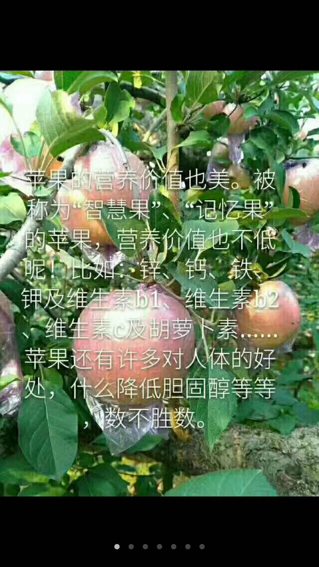 B74C68DE-36FC-4DA2-AD44-2C95FCABC3B3.jpeg