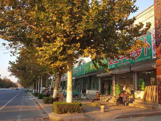 D827426D-B6BE-4E78-9F1A-4D90DB873226.jpeg