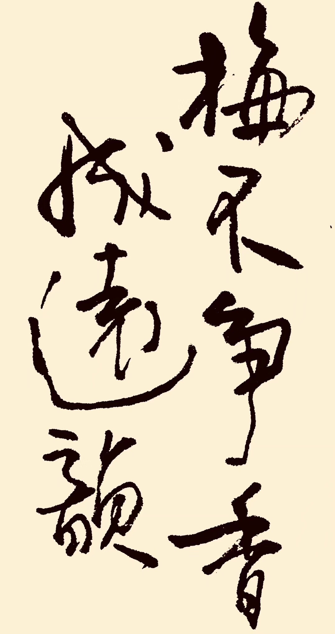 08CA3ADB-AC8F-4487-9767-170A3519E5C1.jpeg