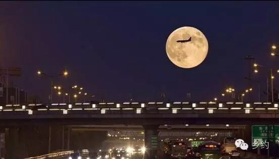 B26B17C7-64EA-4F24-85FF-BD0576E54316.jpeg