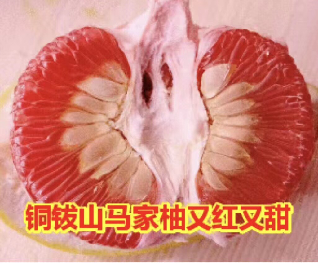 DFD97EAE-3E04-44AE-AD8D-CB70F5233679.jpeg