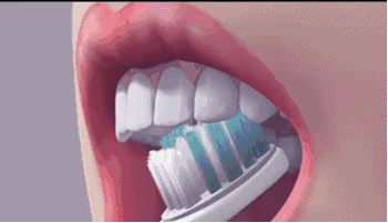 A345C5E8-6FDE-4F74-9B0D-18C0FFC197DC.gif